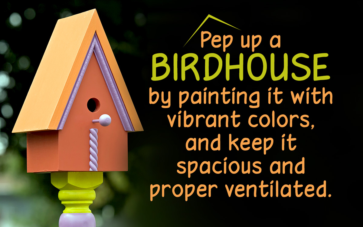 Unique and Decorative Birdhouse Ideas for Your Feathered Friends